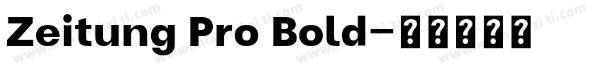 Zeitung Pro Bold字体转换